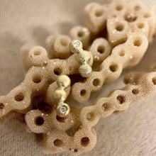 Kép betöltése a galériamegjelenítőbe: Sponge Baby fülbevaló
