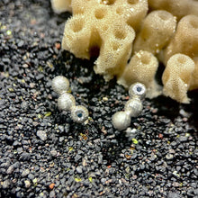 Kép betöltése a galériamegjelenítőbe: Sponge Baby fülbevaló
